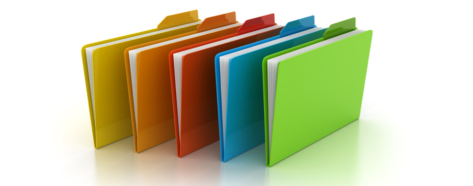 Our Portfolio
