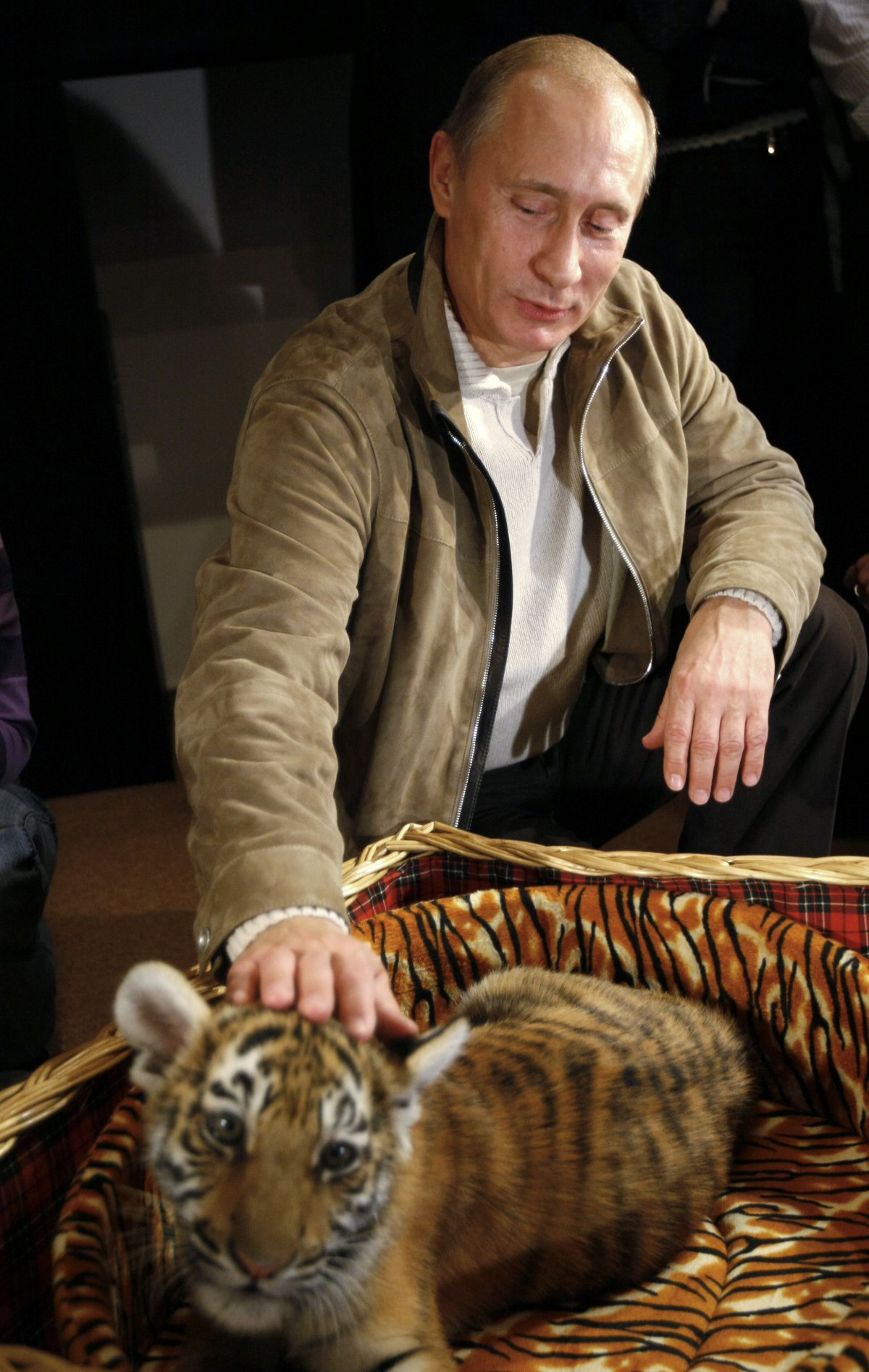 MA-Putin-tiger.jpg